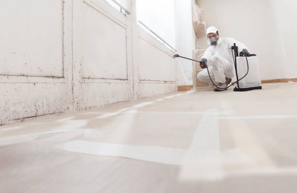 24/7 Emergency Mold Remediation experts in Chatham, VA